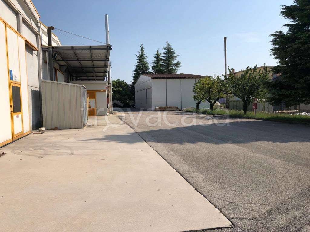 immagine annuncio 3 di 8