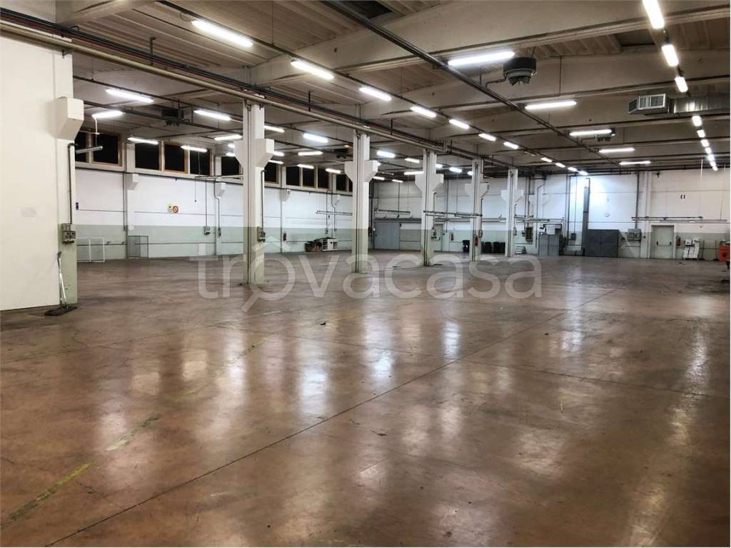 immagine annuncio 4 di 8