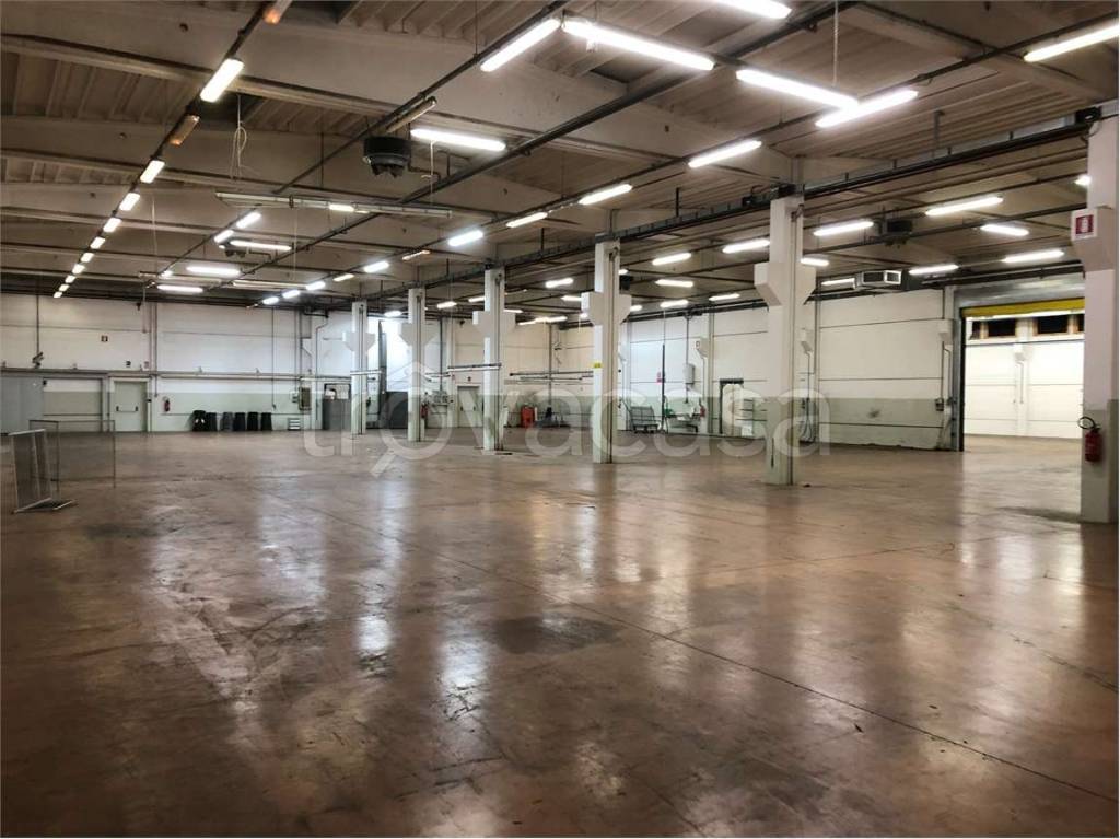 immagine annuncio 5 di 8