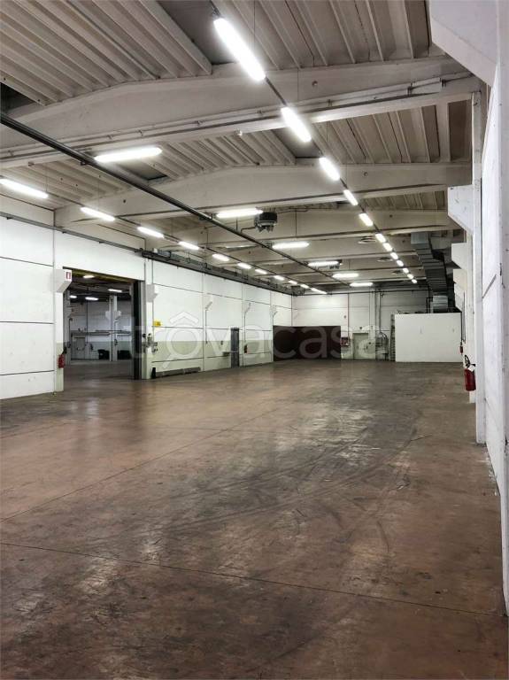 immagine annuncio 6 di 8