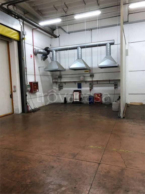 immagine annuncio 7 di 8