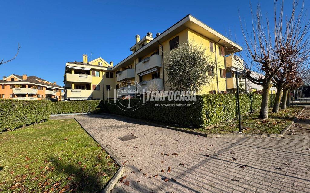 immagine annuncio 14 di 15