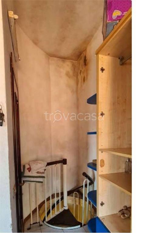 immagine annuncio 9 di 14