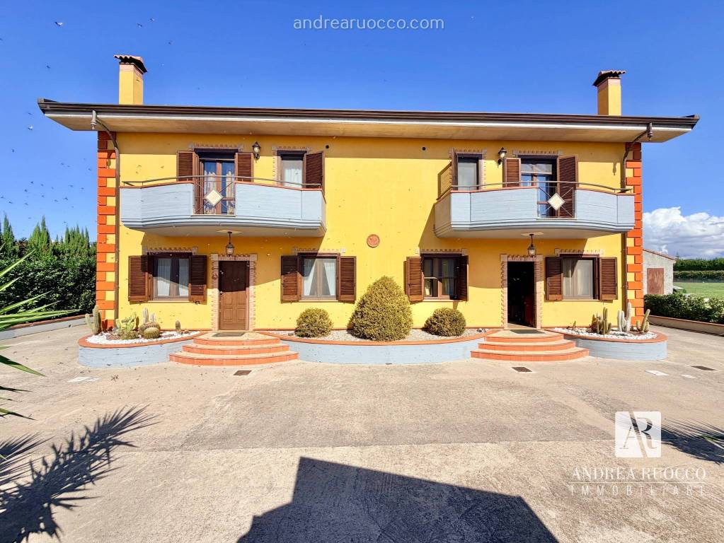 immagine annuncio 5 di 15