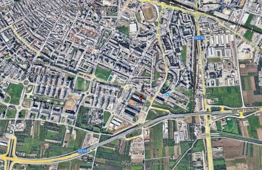 immagine annuncio 9 di 14