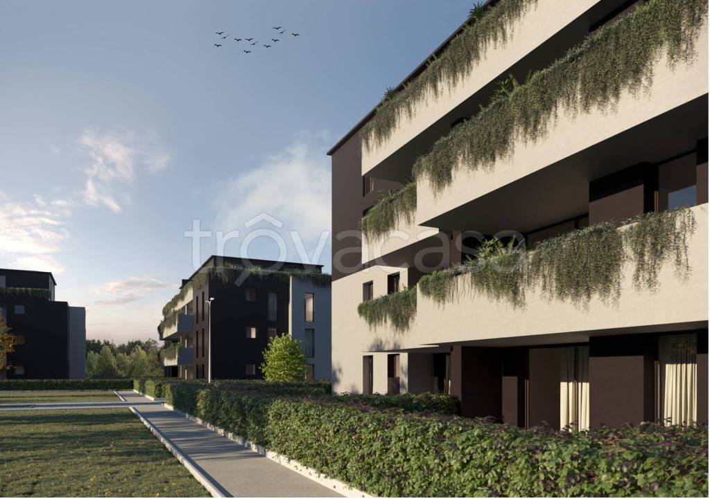 immagine annuncio 4 di 14