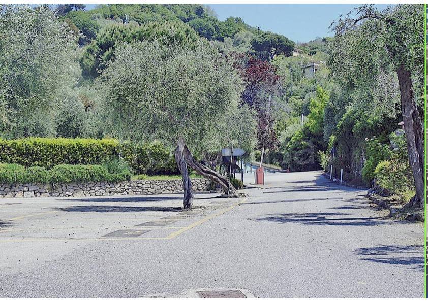 immagine annuncio 3 di 14