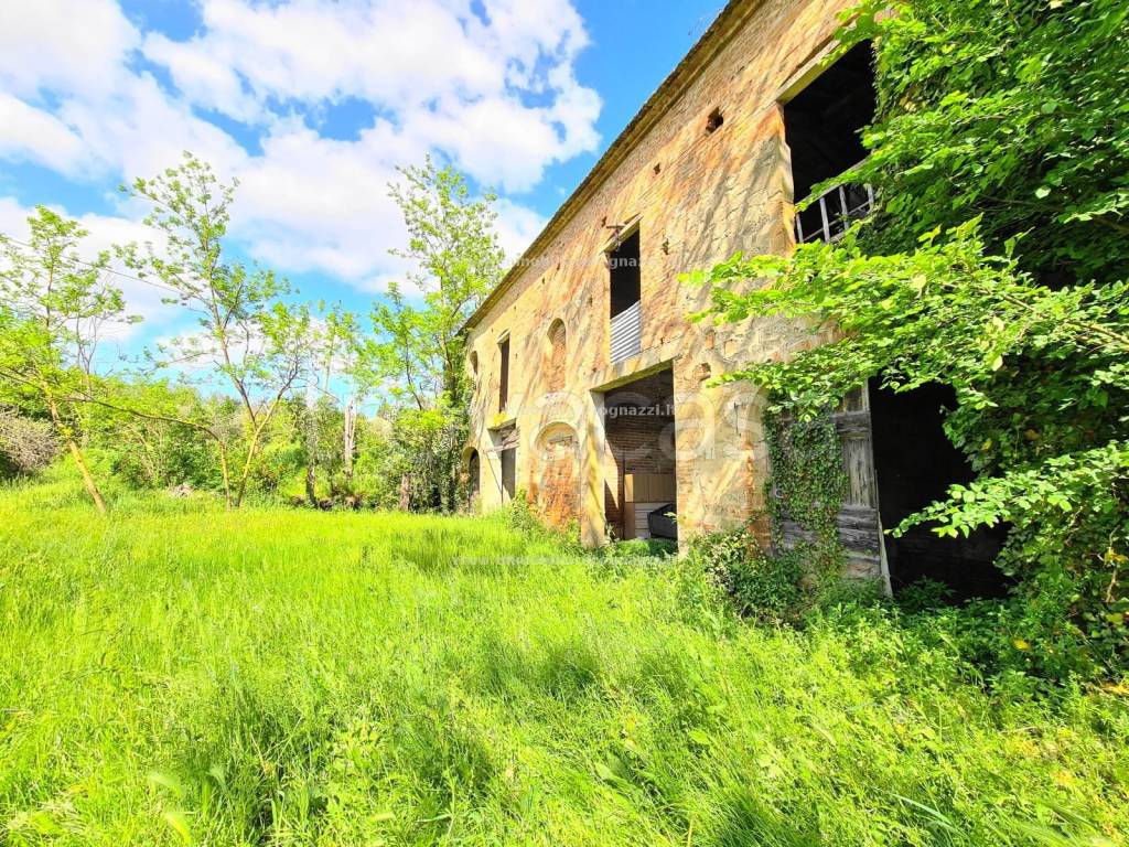 immagine annuncio 2 di 4