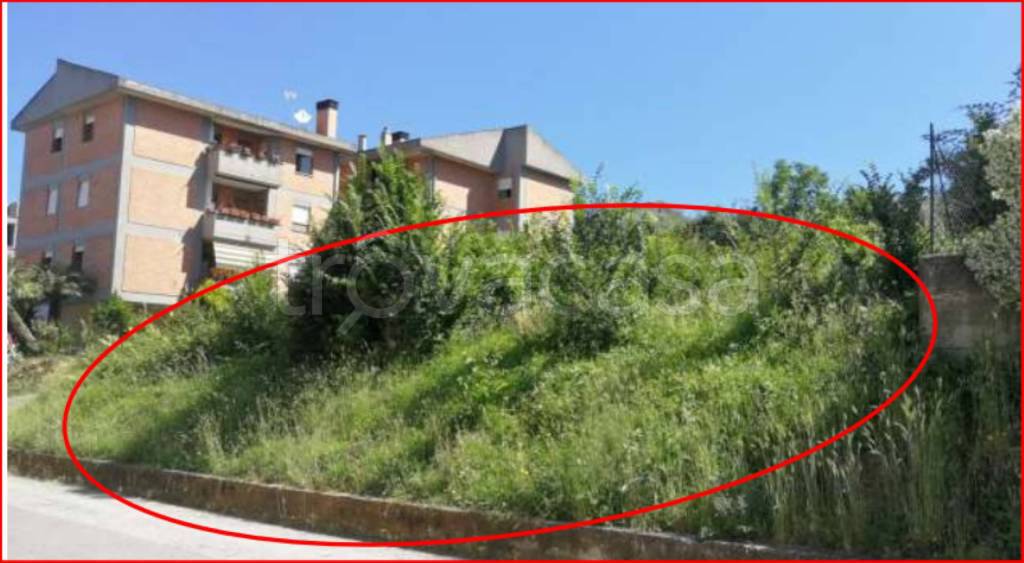 immagine annuncio 2 di 11