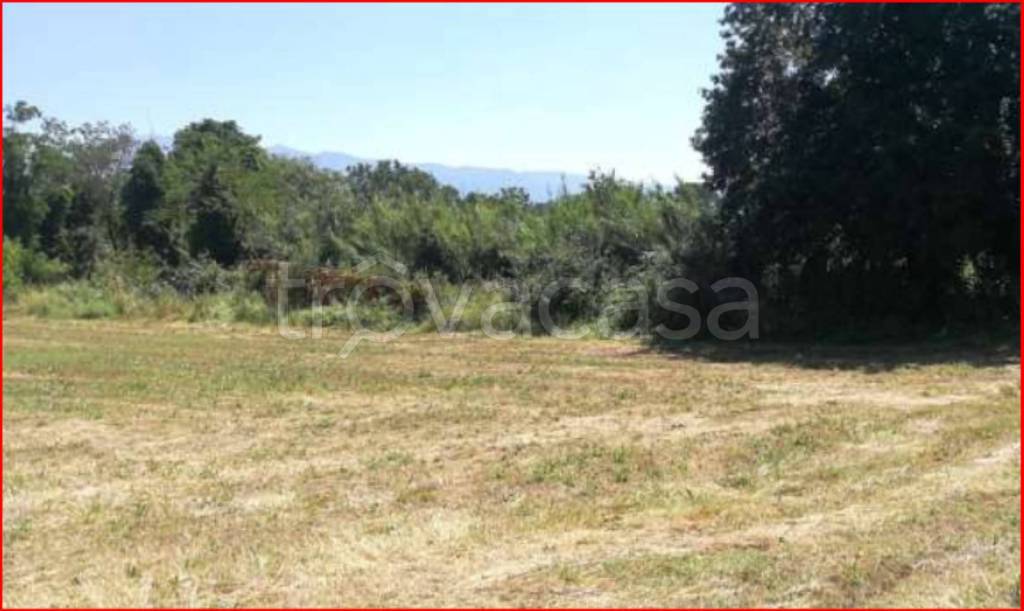 immagine annuncio 4 di 12