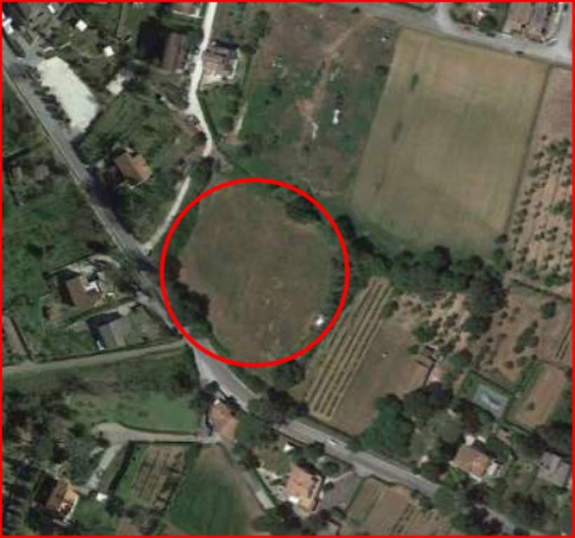 immagine annuncio 10 di 12