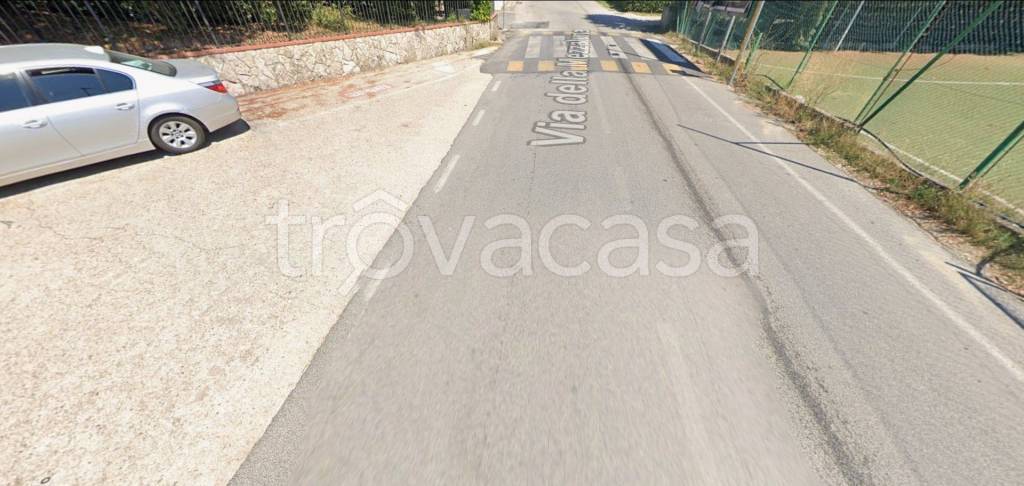 immagine annuncio 7 di 12