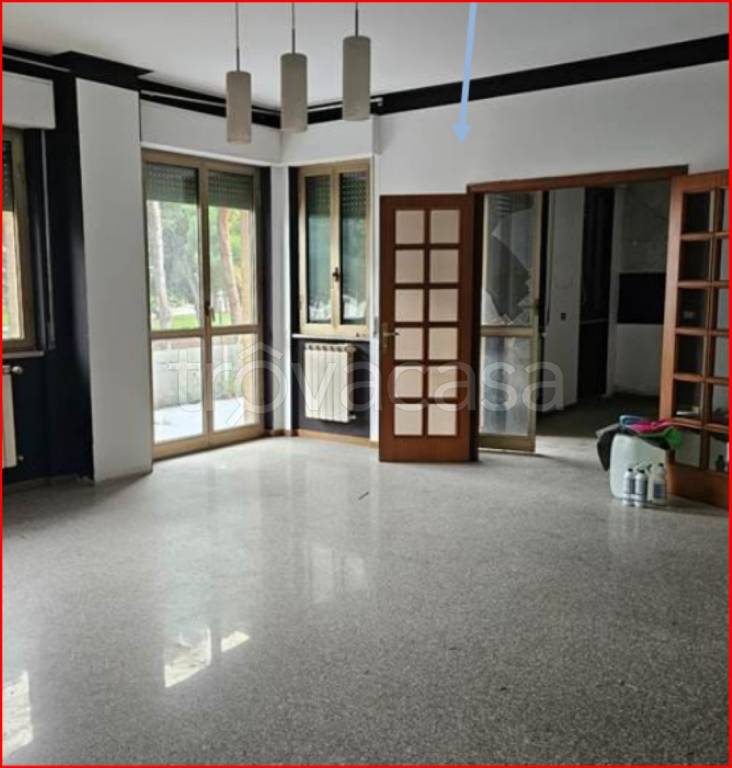 immagine annuncio 6 di 14