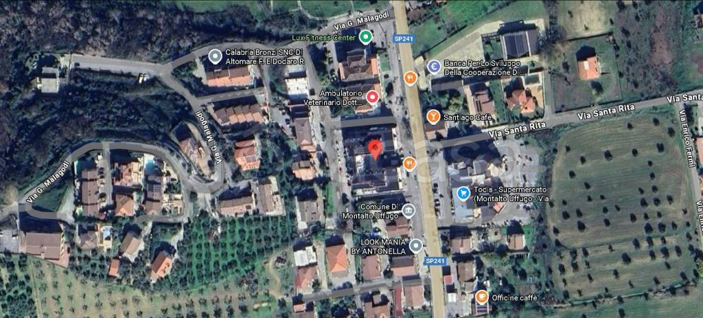 immagine annuncio 9 di 12