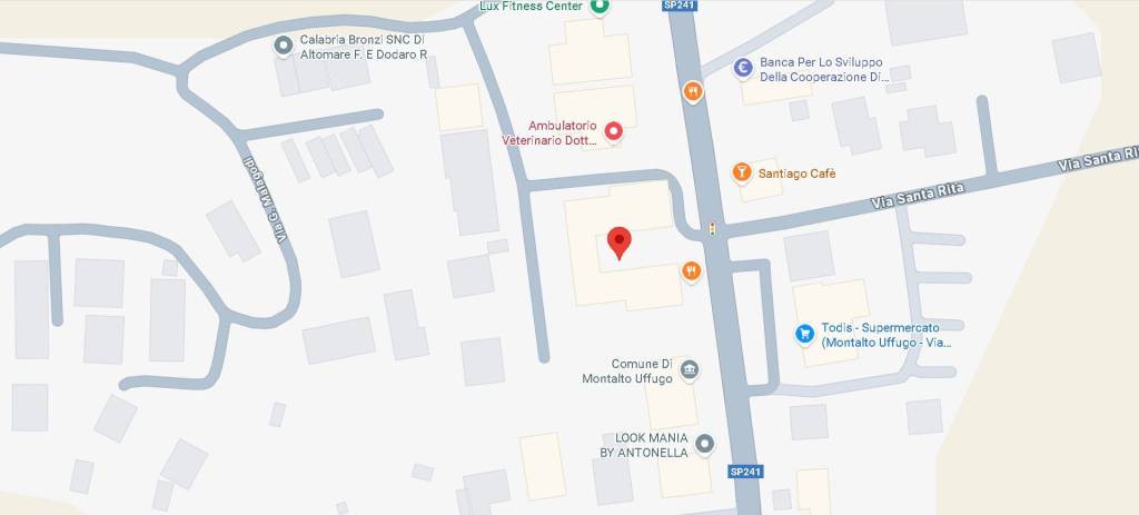 immagine annuncio 10 di 12