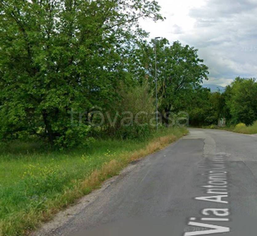 immagine annuncio 8 di 11