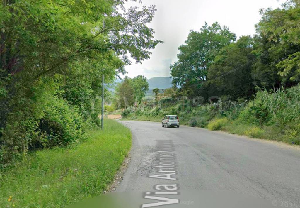 immagine annuncio 10 di 11