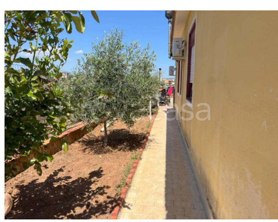 immagine annuncio 4 di 11