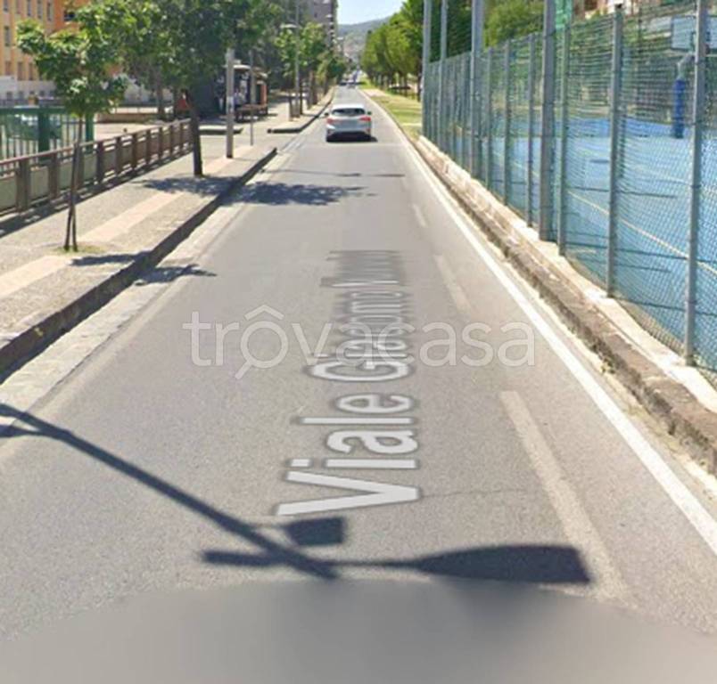 immagine annuncio 11 di 12