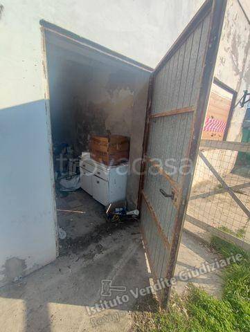 immagine annuncio 1 di 14