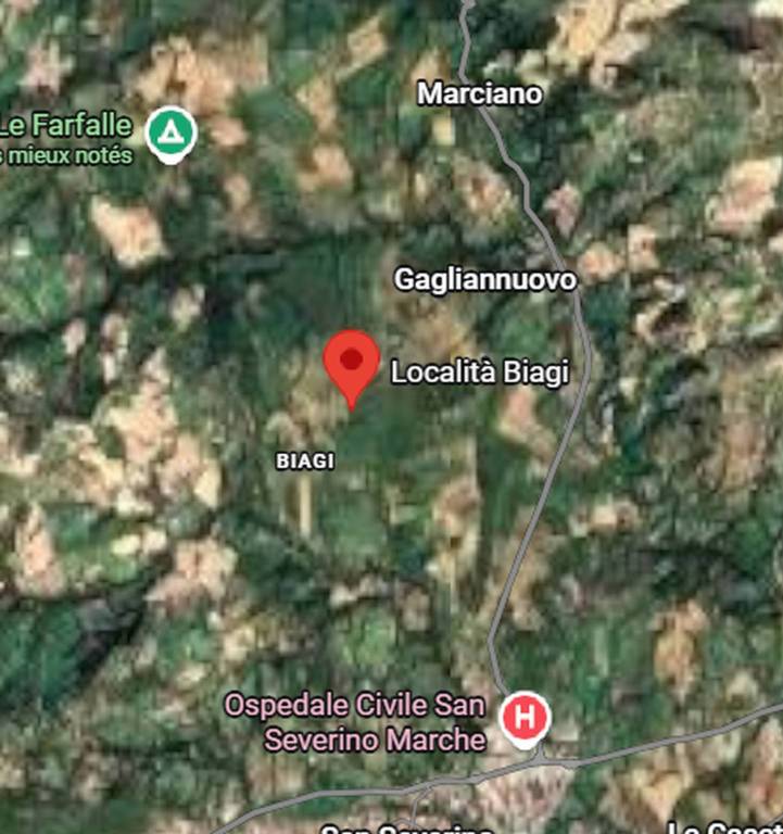 immagine annuncio 2 di 9