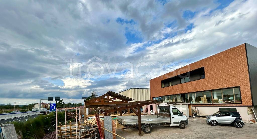 immagine annuncio 2 di 6