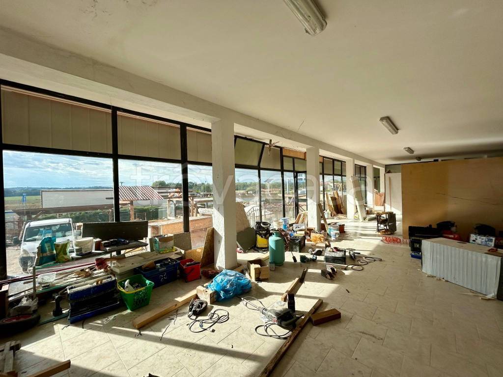 immagine annuncio 5 di 6