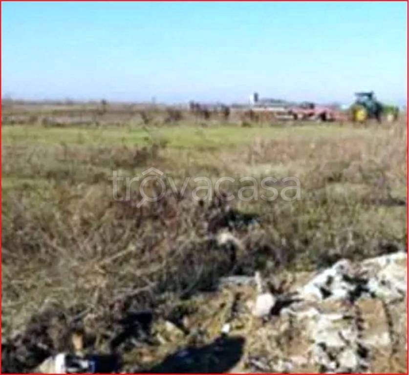 immagine annuncio 3 di 11