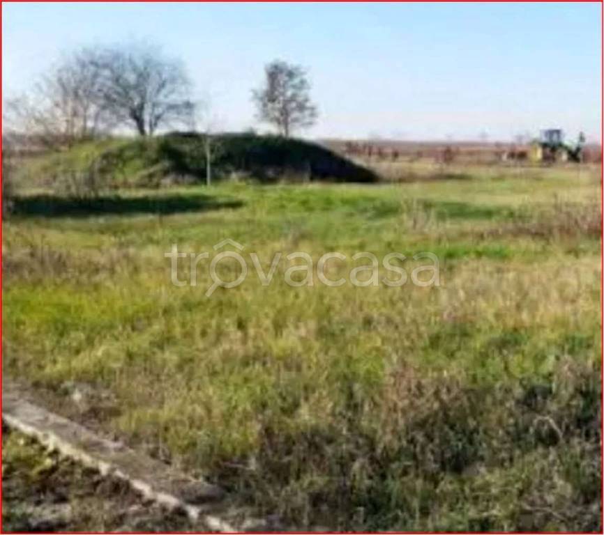 immagine annuncio 5 di 11