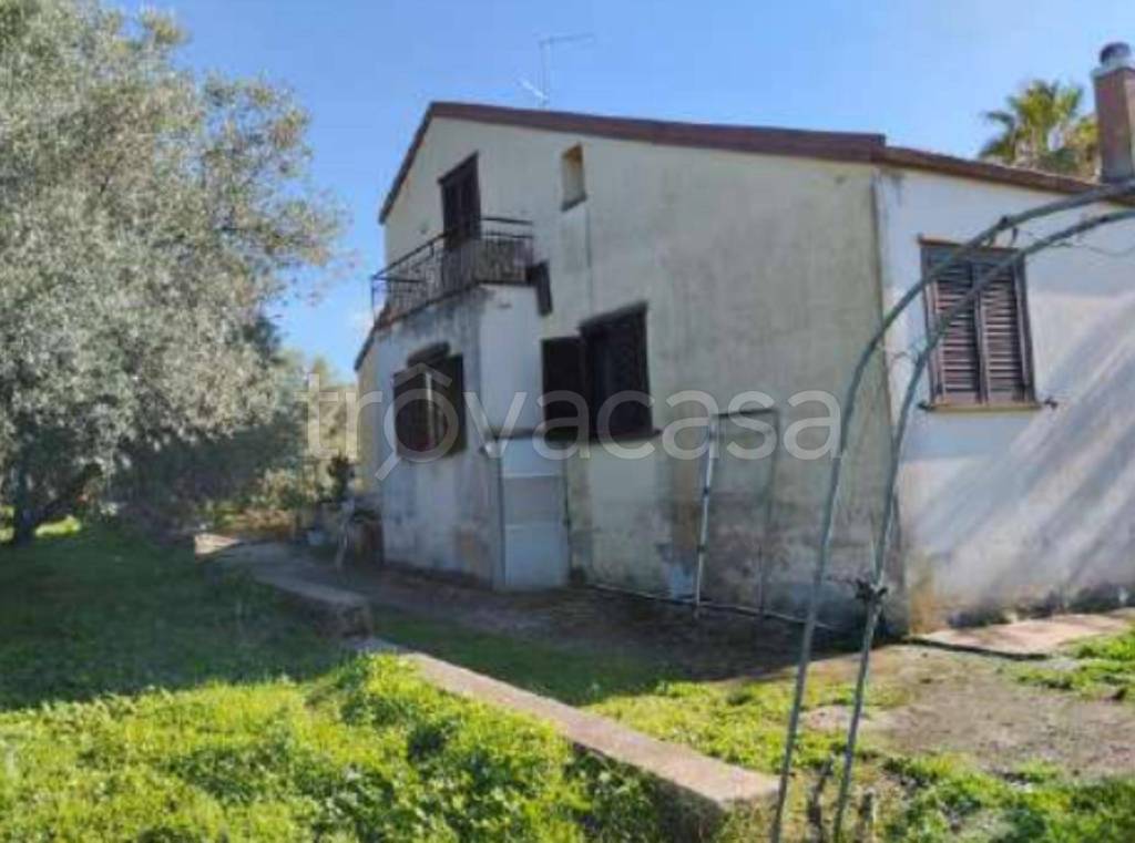 immagine annuncio 12 di 13