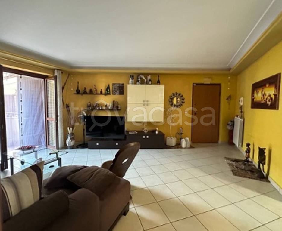 immagine annuncio 12 di 14