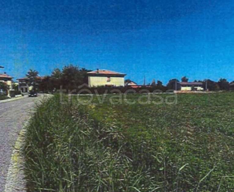 immagine annuncio 4 di 14