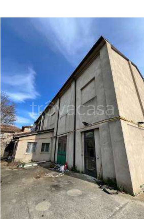 immagine annuncio 6 di 11