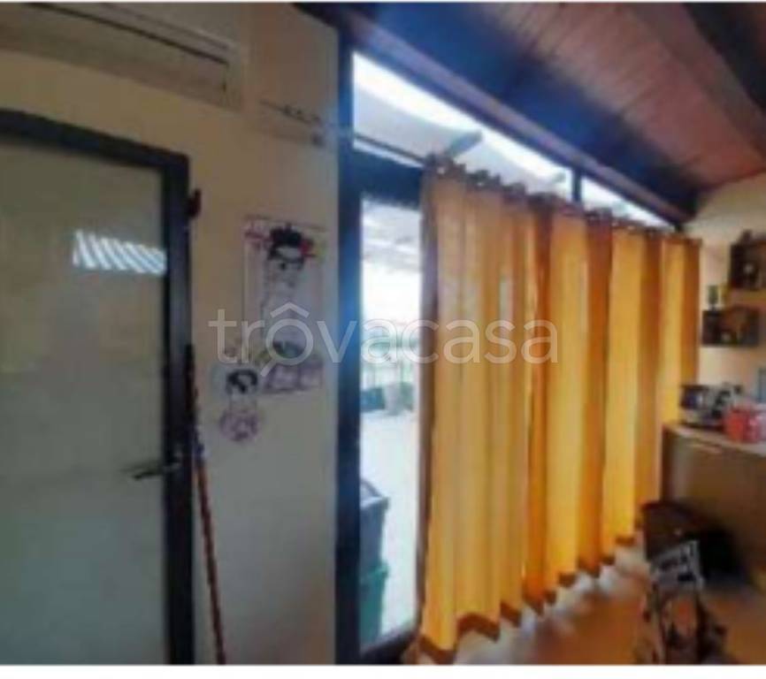 immagine annuncio 9 di 14