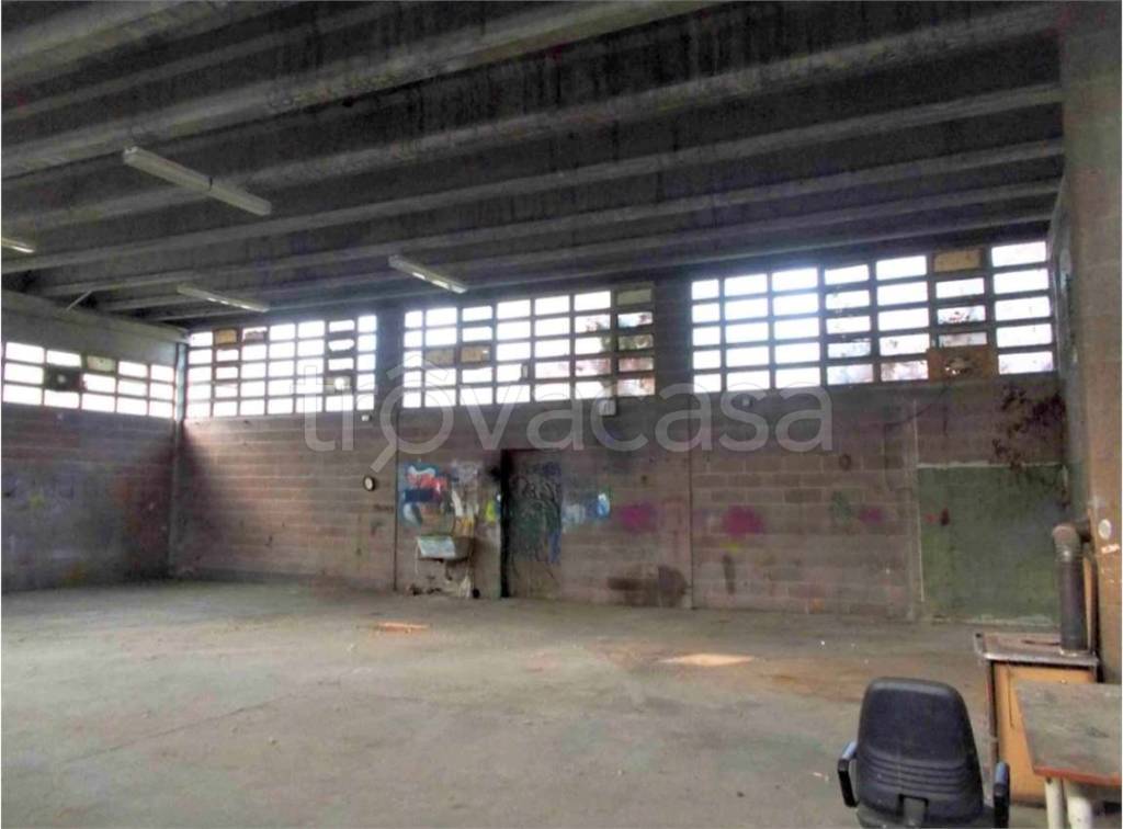 immagine annuncio 2 di 12