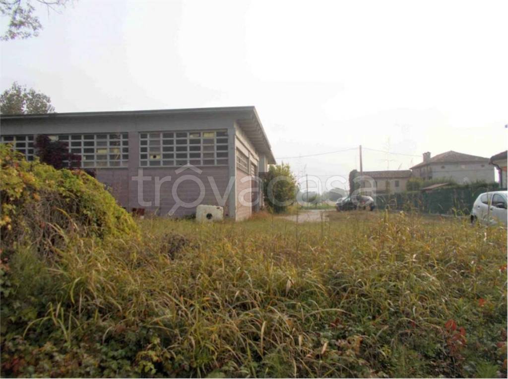 immagine annuncio 6 di 12