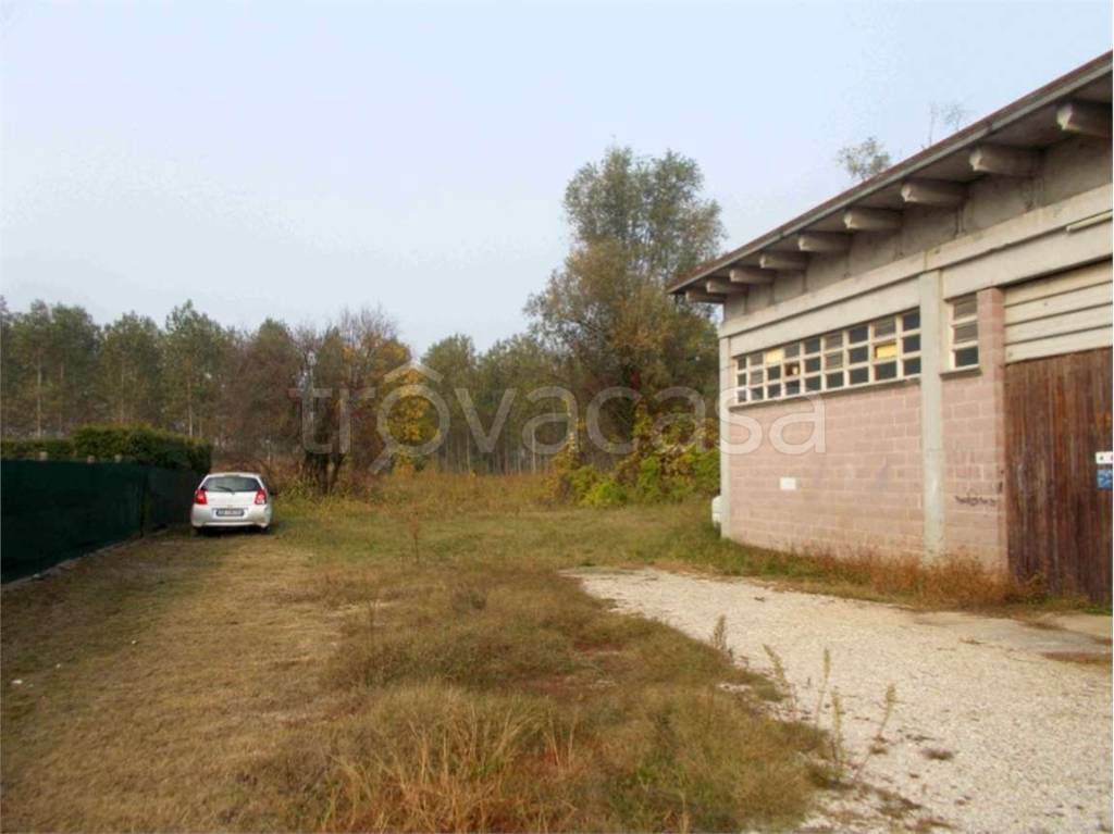 immagine annuncio 7 di 12