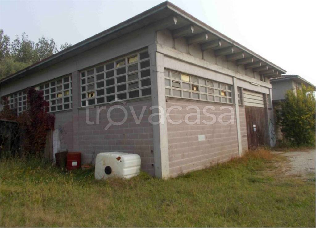 immagine annuncio 8 di 12