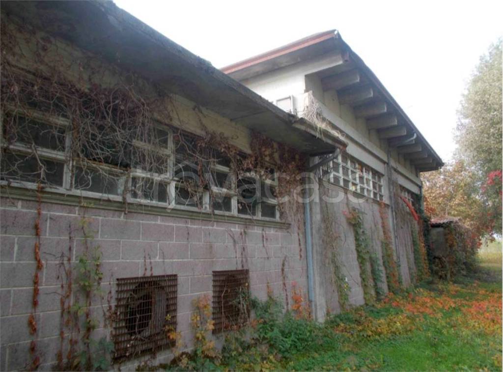 immagine annuncio 9 di 12