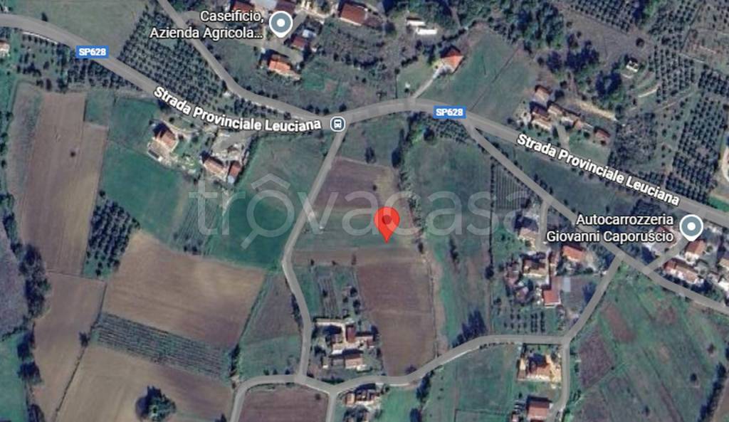 immagine annuncio 6 di 11