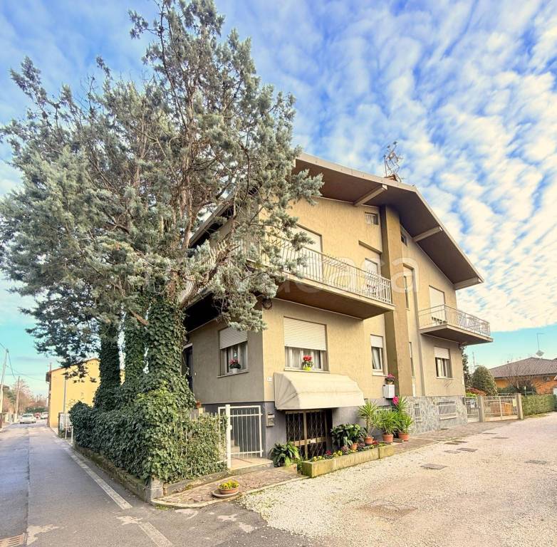 immagine annuncio 1 di 13