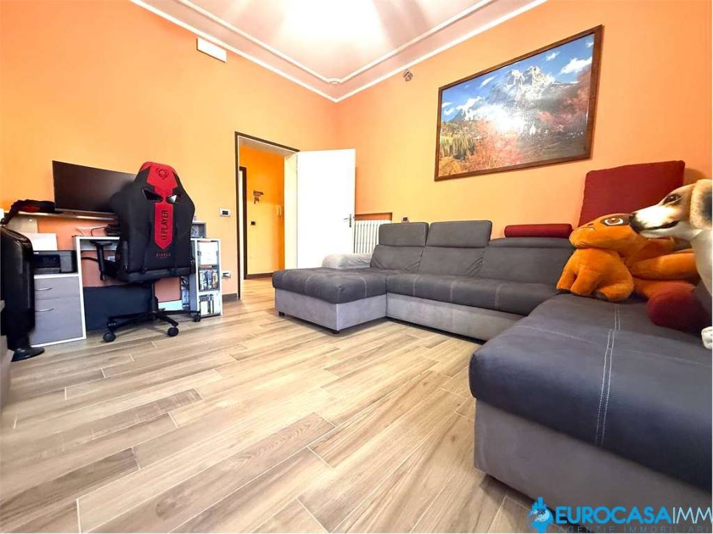 immagine annuncio 4 di 15