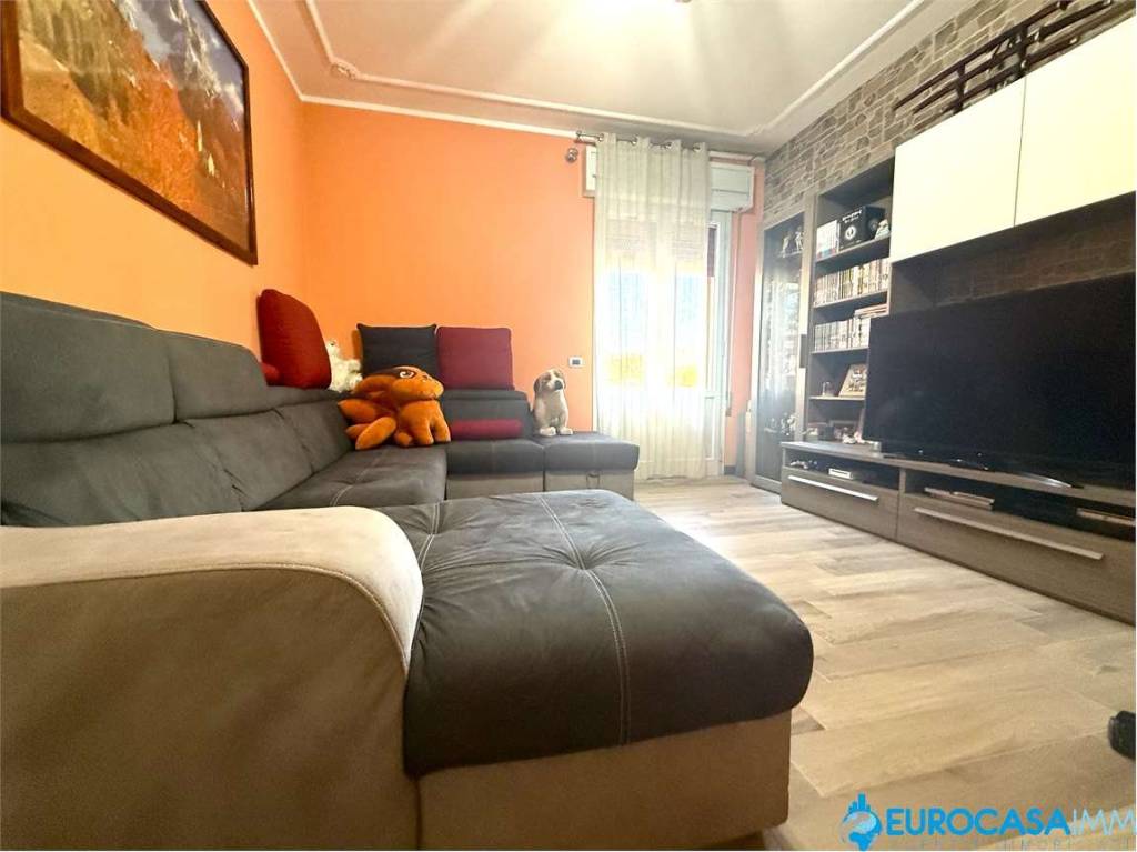 immagine annuncio 5 di 15