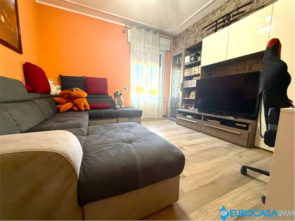 immagine annuncio 6 di 15