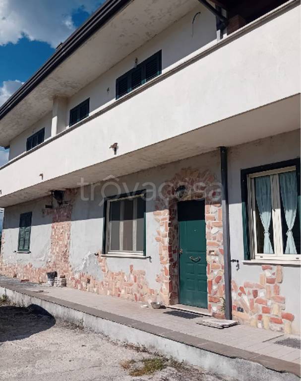 immagine annuncio 8 di 11