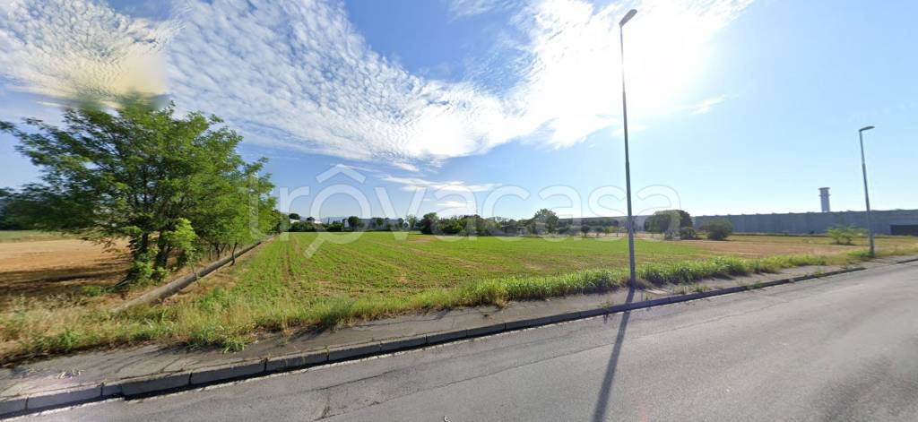 immagine annuncio 3 di 7