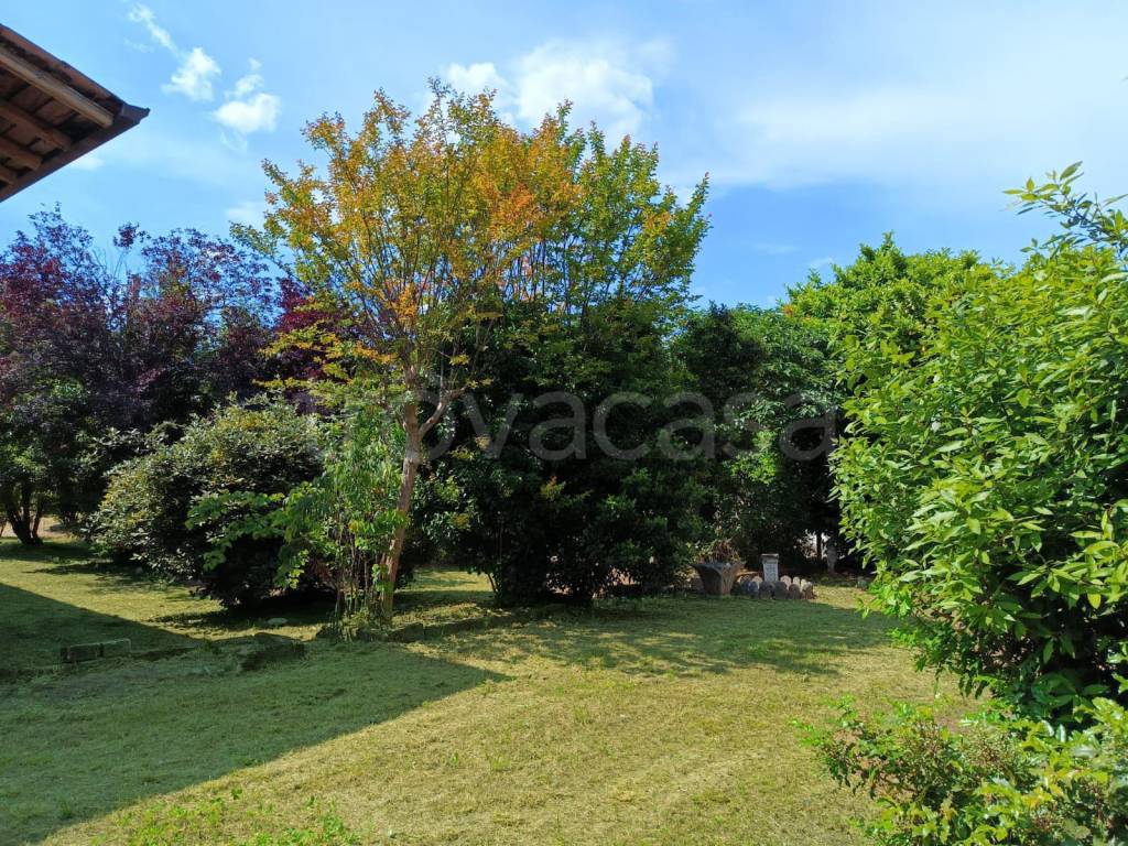 immagine annuncio 12 di 13