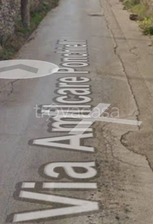 immagine annuncio 3 di 11