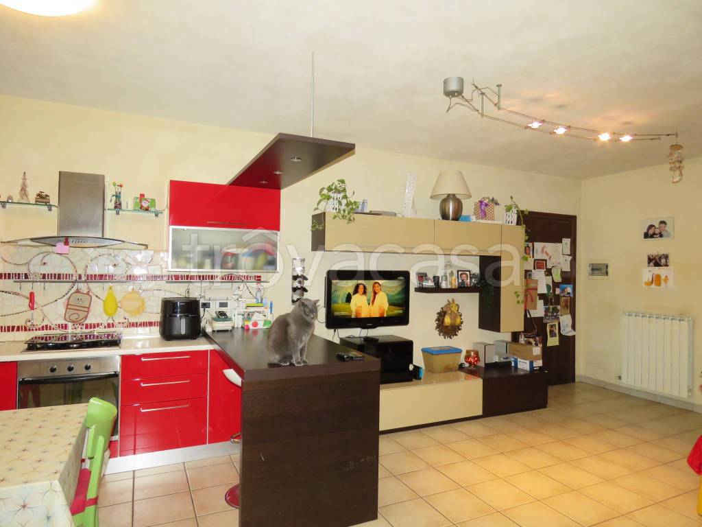 immagine annuncio 6 di 15