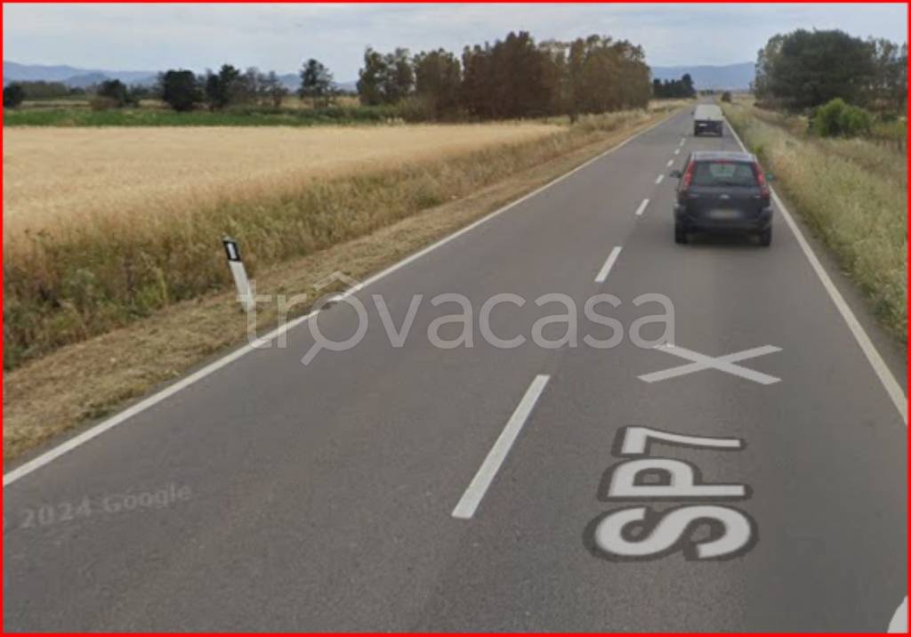 immagine annuncio 6 di 12